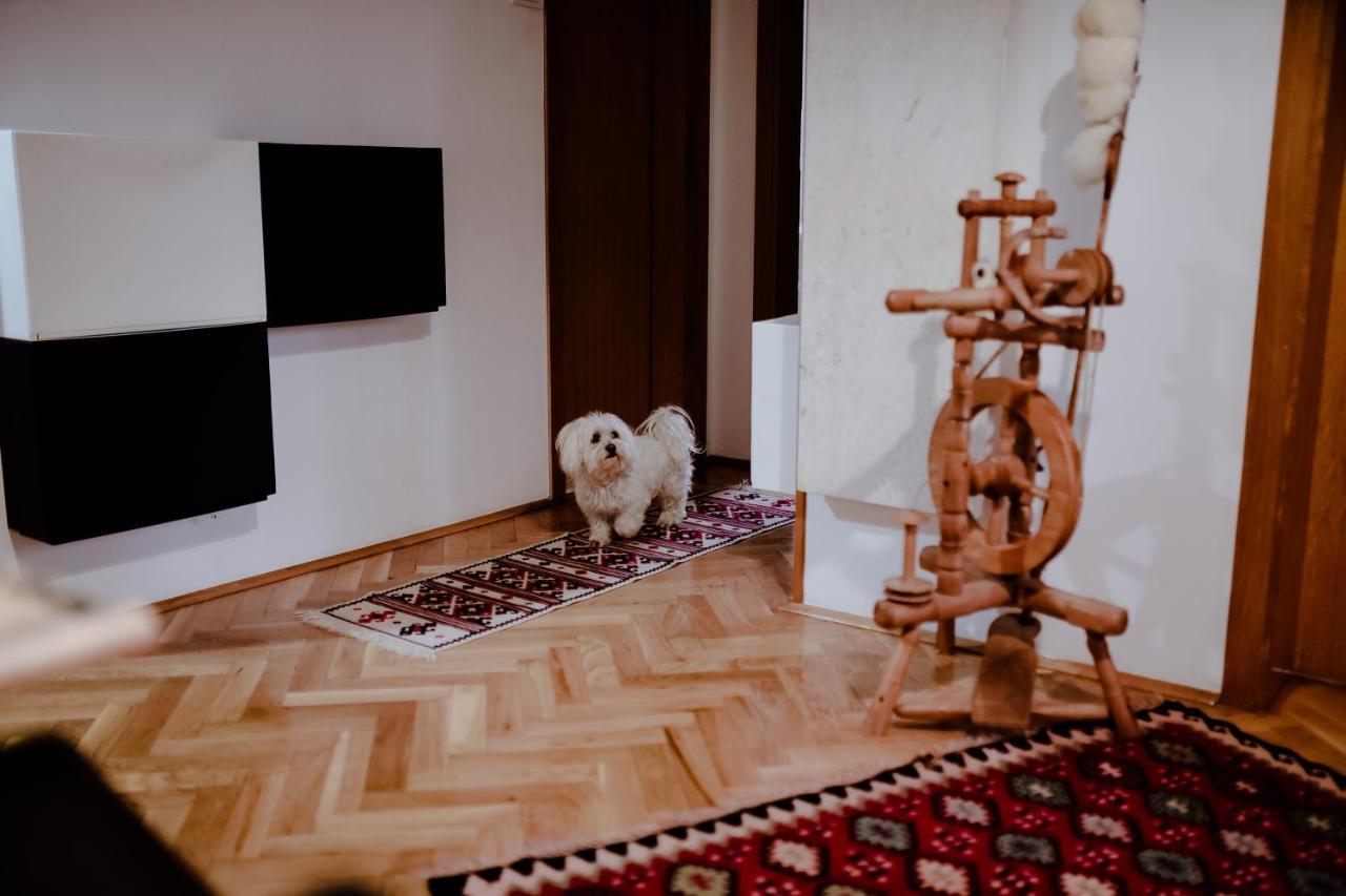 Apartment Suncana Dolina Златибор Екстер'єр фото
